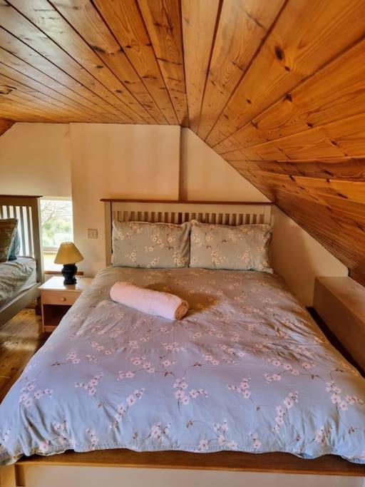 Cottage Skelligs Coast, Ring Of Kerry カアーサイビーン エクステリア 写真