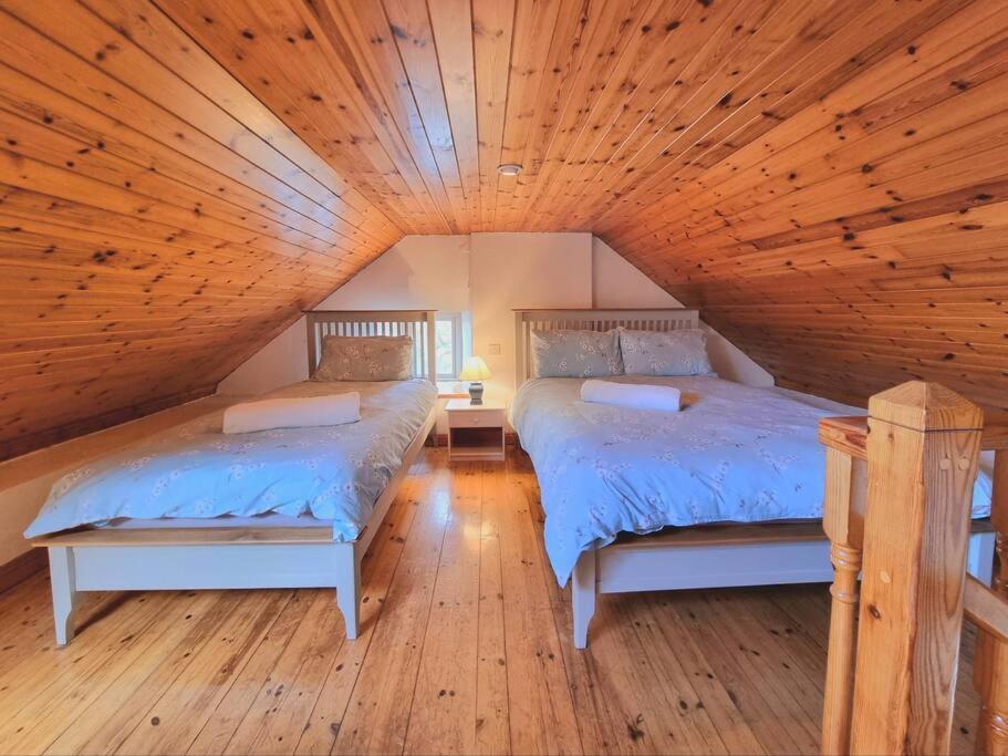Cottage Skelligs Coast, Ring Of Kerry カアーサイビーン エクステリア 写真