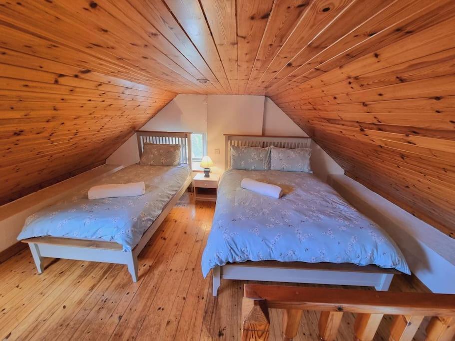 Cottage Skelligs Coast, Ring Of Kerry カアーサイビーン エクステリア 写真